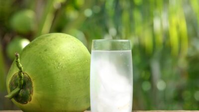 Fokus Kesehatan Mengupas Khasiat Air Kelapa Di Tengah Lonjakan Kasus Omicron