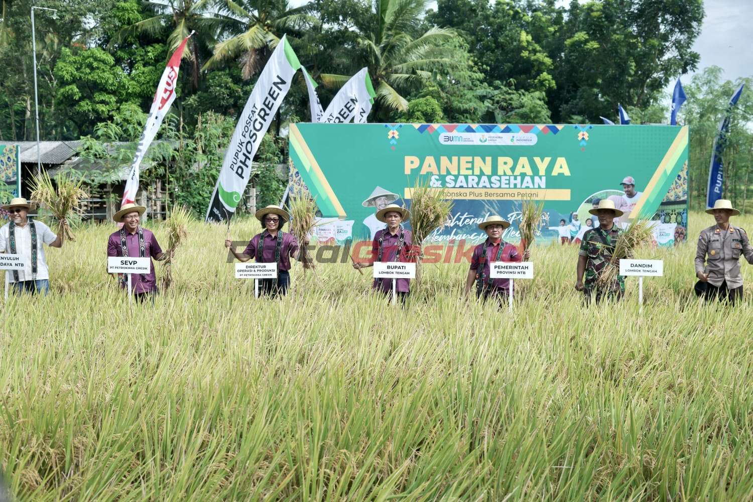 Panen raya padi "Phonska Plus Bersama Petani" pada lahan budidaya pilot project PPL Inspirasi di Kelurahan Leneng, Kecamatan Praya, Kabupaten Lombok Tengah, NTB