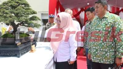 Jadi Tuan Rumah Kontes Bonsai Nasional 2023, Seribu Bonsai Senilai Miliaran Rupiah Dipamerkan Di Gresik