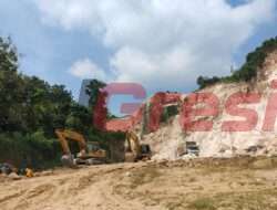 Viral Tambang Gunung Kapur di Prupuh Gresik Longsor. Pengelola PT Manggala : Itu Sengaja Dilongsorkan