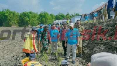 Sebagai Langkah Mitigasi Bencana, Bupati Gresik Kampanyekan Tanam Rumput Vetiver Di Sempadan Sungai Kali Lamong