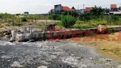 Dukung Pengembangan UMKM Melalui Kampung Krupuk, Begini Cara Pemerintah Desa Srowo Sidayu