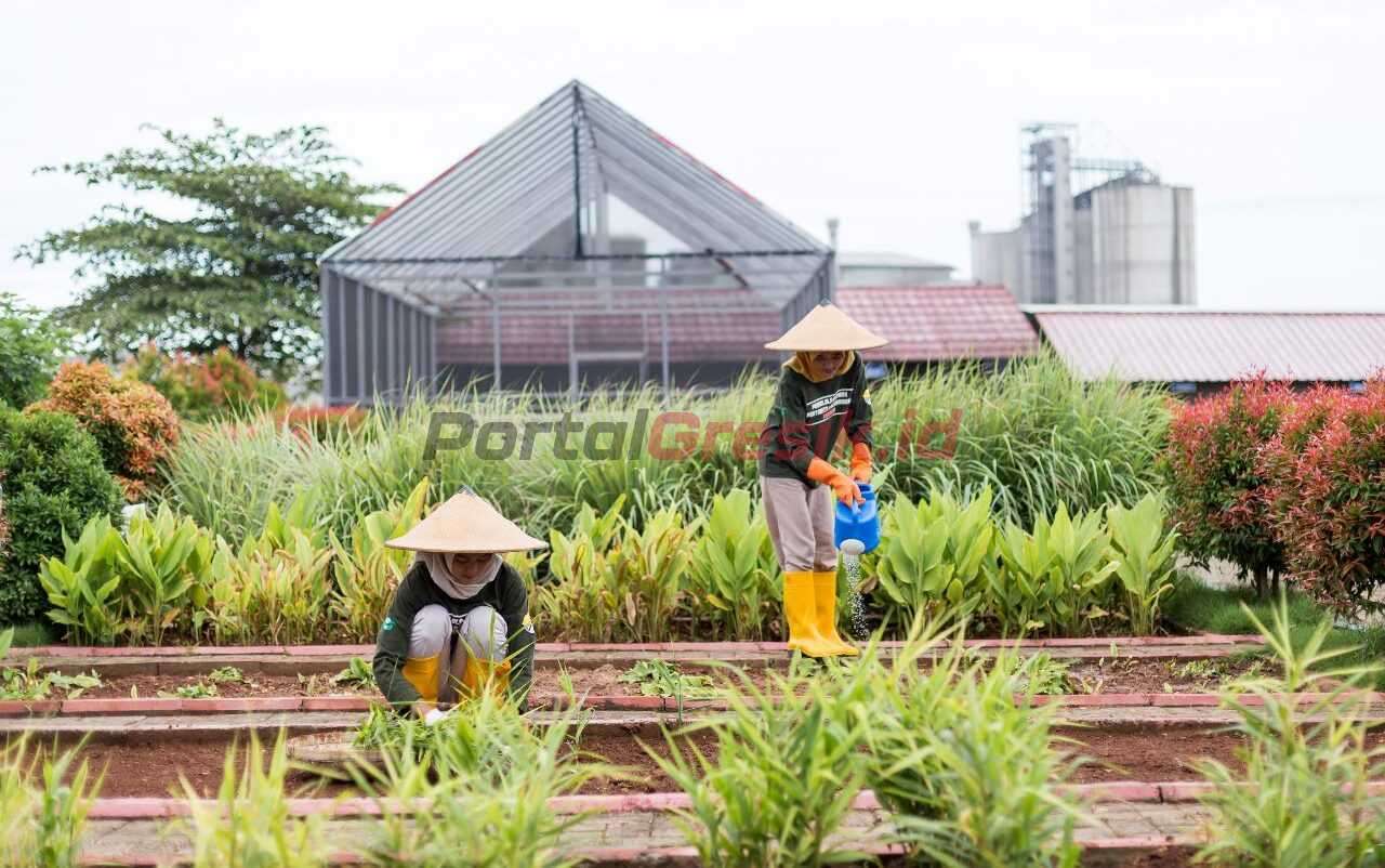 Para petani yang berasal dari masyarakat desa sekitar PT Semen Gresik Pabrik Rembang, Jawa Tengah, sedang melakukan pembibitan tanaman di kawasan Edupark yang berlokasi di Desa Kajar, Kecamatan Gunem, Kabupaten Rembang, Jawa Tengah.
