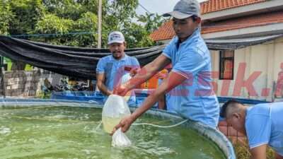 Tingkatkan Produktivitas Perikanan, Pemuda Tenggulrejo Diajak Budidaya Bandeng Sistem Kolam Terpal