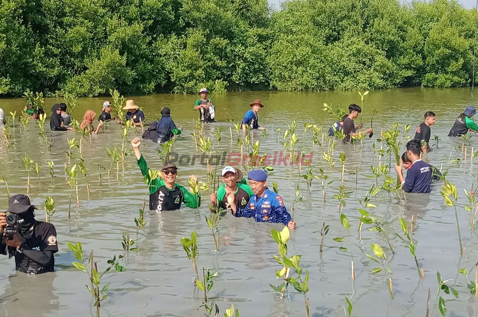 Polres Gresik bersama BNPB, BPBD, Komunitas Pencinta Alam saat melakukan penanaman pohon mangrove di Kali Mireng Manyar, Minggu (07/05/2023).