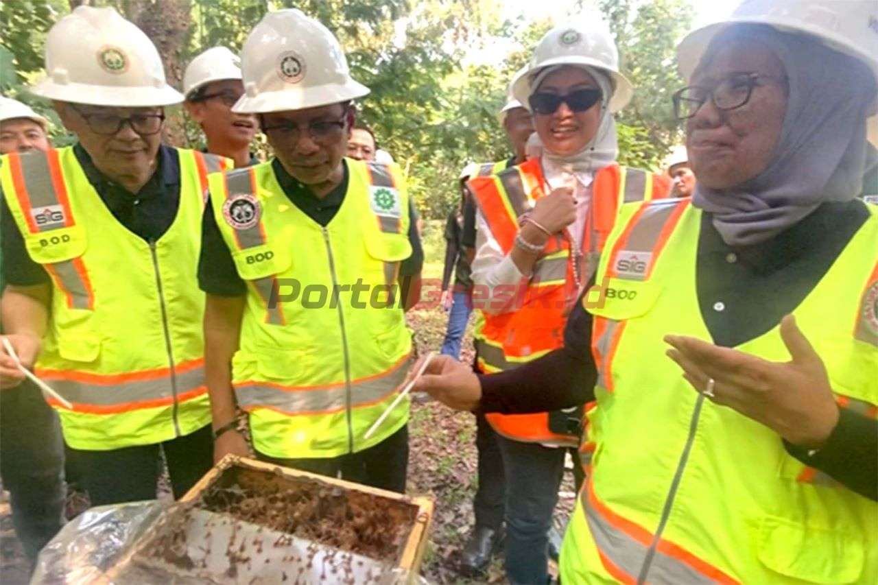 Direktur Utama SIG, Donny Arsal (kedua kiri) melihat budidaya lebah trigona di area green house lahan reklamasi pascatambang Pabrik Baturaja, Desa Pusar, Kecamatan Baturaja Barat, Kabupaten Ogan Komering Ulu, Provinsi Sumatra Selatan.