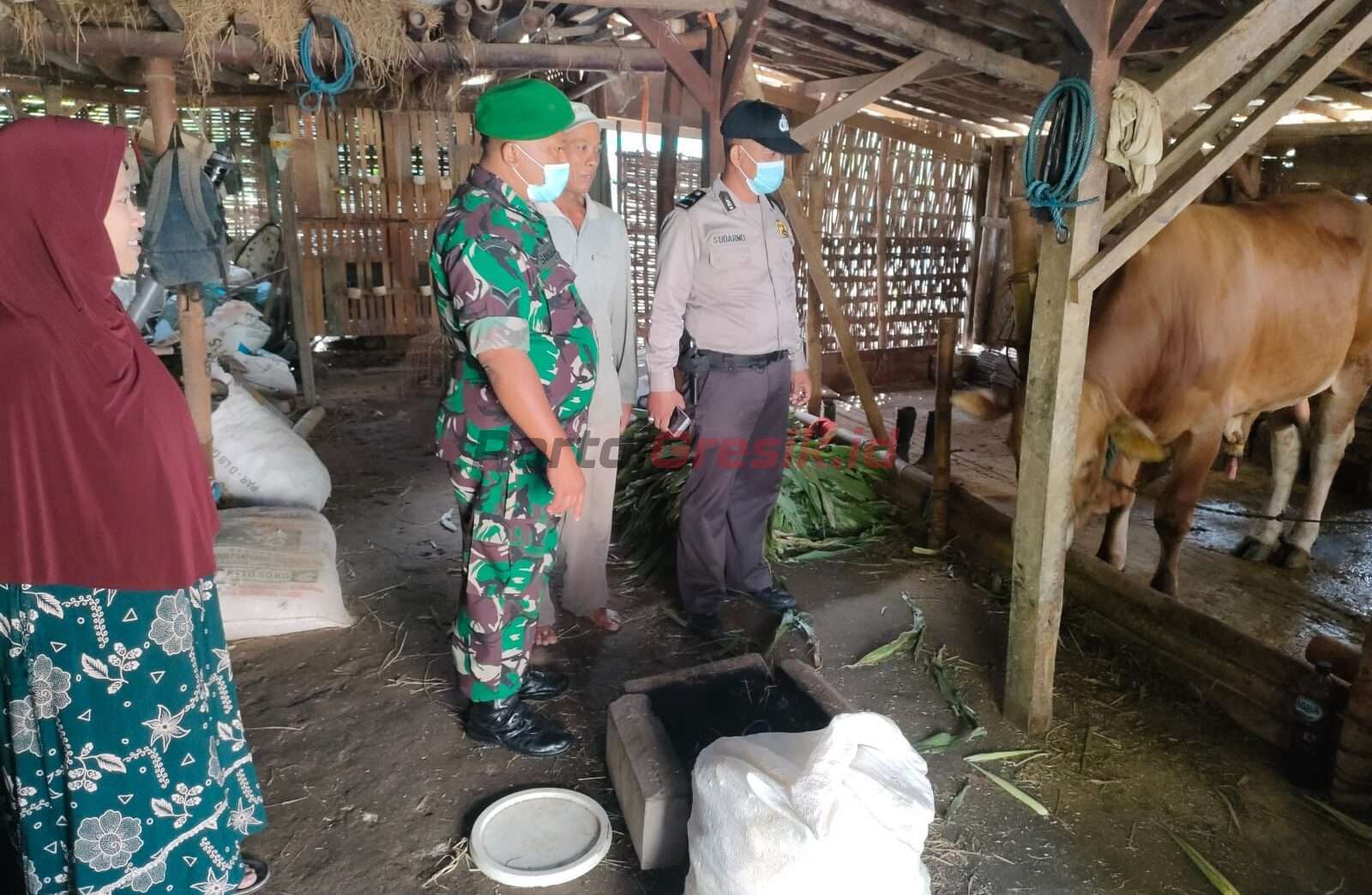 Serda Sugiarjo Babinsa Koramil 0817/12 Sidayu saat lakukan patroli anjangsana memberikan himbauan kepada peternak agar menjaga kesehatan hewan ternaknya terhindar dari virus PMK di Desa Sukorejo Kecamatan Sidayu, Selasa (6/6/2023).