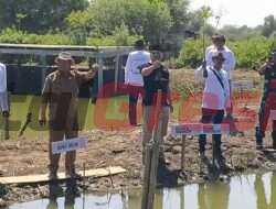 Jaga Keseimbangan Ekosistem, Pemdes Pangkahkulon Tanam 5.000 Bibit Mangrove
