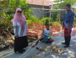 Ada Sejak Puluhan Tahun, Centra Home Industri ‘Dobong’ Desa Panjunan Jadi Penyuplay Keranjang Ikan Beberapa TPI di Jawa Timur