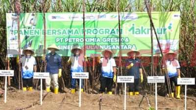 Dirut PG, Dwi Satriyo Annurogo (tiga dari kiri), Direktur Produksi dan Pengembangan Holding Perkebunana Nusantara III, Mahmudi (dua dari kanan) bersama pejabat terkait saat melakukan Panen Temu Program Makmur di Mojokerto