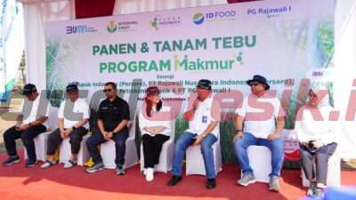 Melalui Program Makmur Petrokimia Gresik, Jawa Timur Berhasil Pertahankan Predikat Sebagai Lumbung Gula Nasional