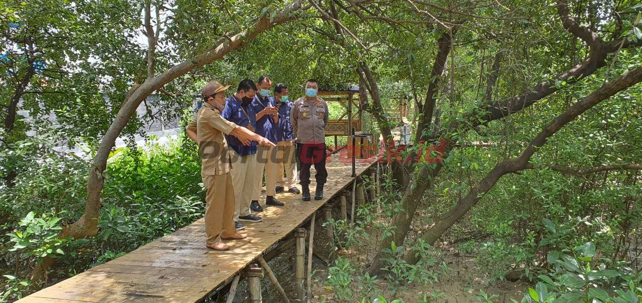 Kades Sukorejo, Fatkhur Rohman mengecek destinasi wisata Mangrove yang dikelola Desanya.