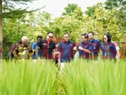 Jaga Ketahanan Pangan Nasional, Wakil Menteri BUMN Tinjau Program Smart Precision Farming Besutan Petrokimia Gresik