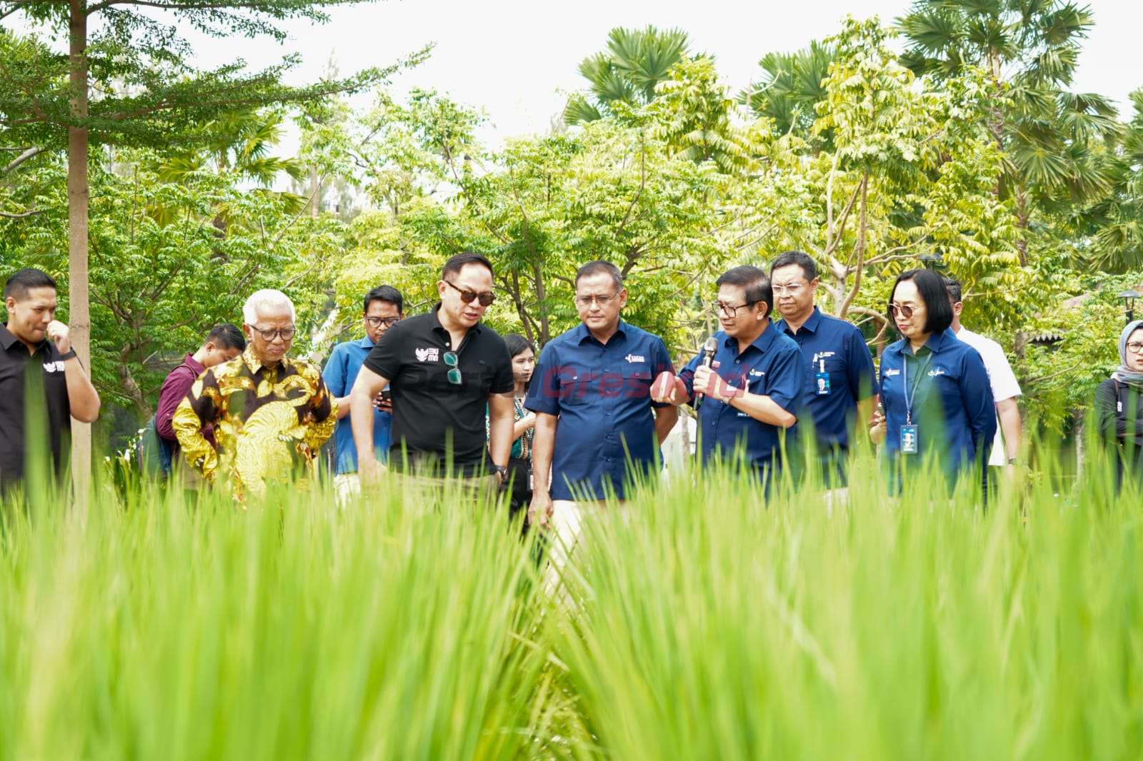 Wamen BUMN, Kartika Wirjoatmodjo (tiga dari kiri) saat meninjau persiapan Smart Precision Farming bersama Dirut PI, Rahmad Pribadi (empat dari kanan), Dirut PG, Dwi Satriyo Annurogo (tiga dari kanan), serta jajaran