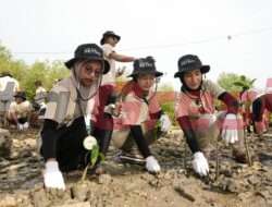 Peringati Hari Menanan Pohon Indonesia, Petrokimia Gresik Tanam 2000 Bibit Mangrove di Desa Tajungwidoro Mengare