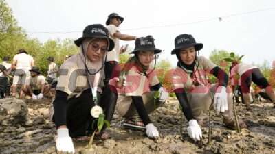 Insan Petrokimia Gresik saat menanam bibit mangrove di kawasan Pusat Restorasi dan Penanaman Mangrove (PRPM) Mengare pada Program Envirocamp