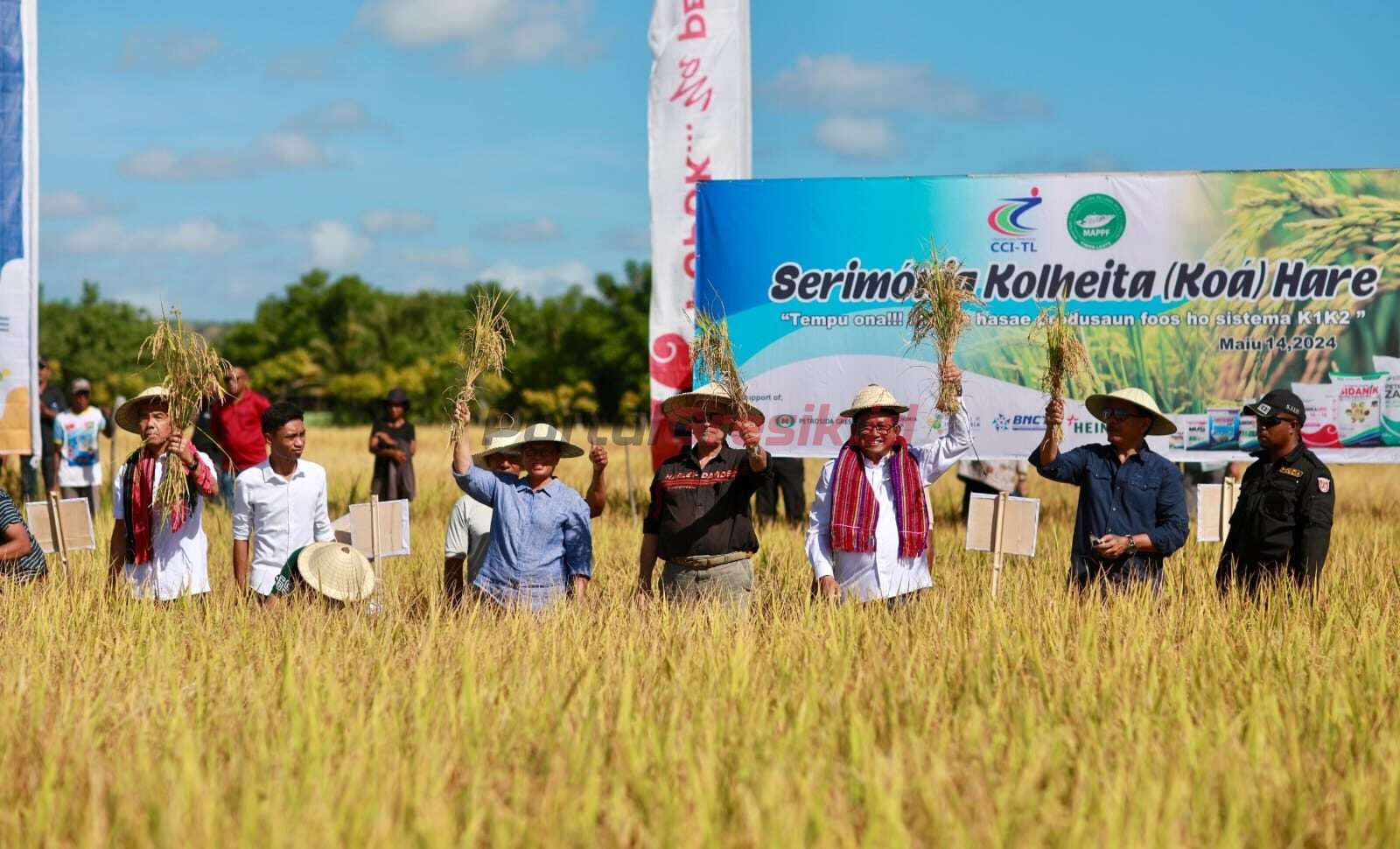 Presiden Timor Leste, Ramos Horta (empat dari kanan), Wadirut PI, Gusrizal (paling kiri), DU PG, Dwi Satriyo Annurogo (tiga dari kanan) bersama pejabat terkait saat panen padi di Kabupaten Baucau, Timor Leste