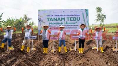 Program Makmur Kolaborasi Petrokimia Gresik dan Sinergi Gula Nusantara Berhasil Tingkatkan Kesejahteraan Petani di Bondowoso