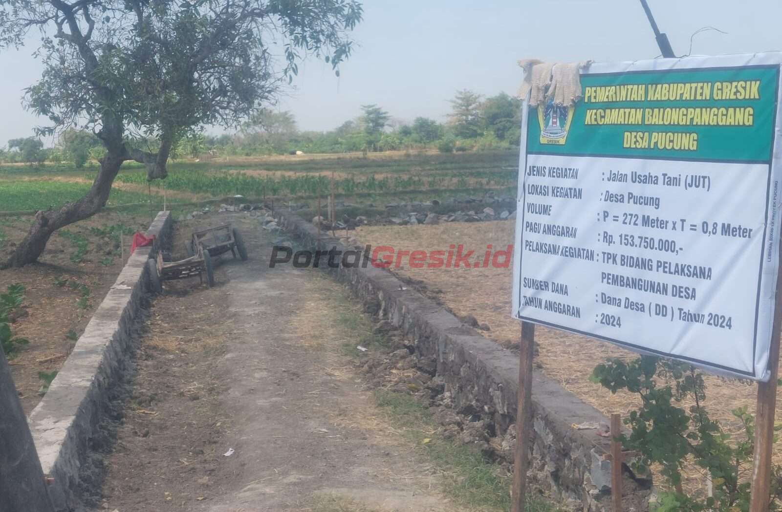 Jalan usaha tani (JUT) yang dibangun oleh Pemerintah Desa Pucung, Kecamatan Balungpanggang
