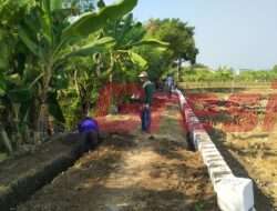 Pemdes Sekargadung Dukun Bangun JUT dan Irigasi Demi Permudah Akses Pertanian dan Perikanan