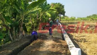 Pembangunan JUT Desa Sekargadung, Kecamatan Dukun Gresik