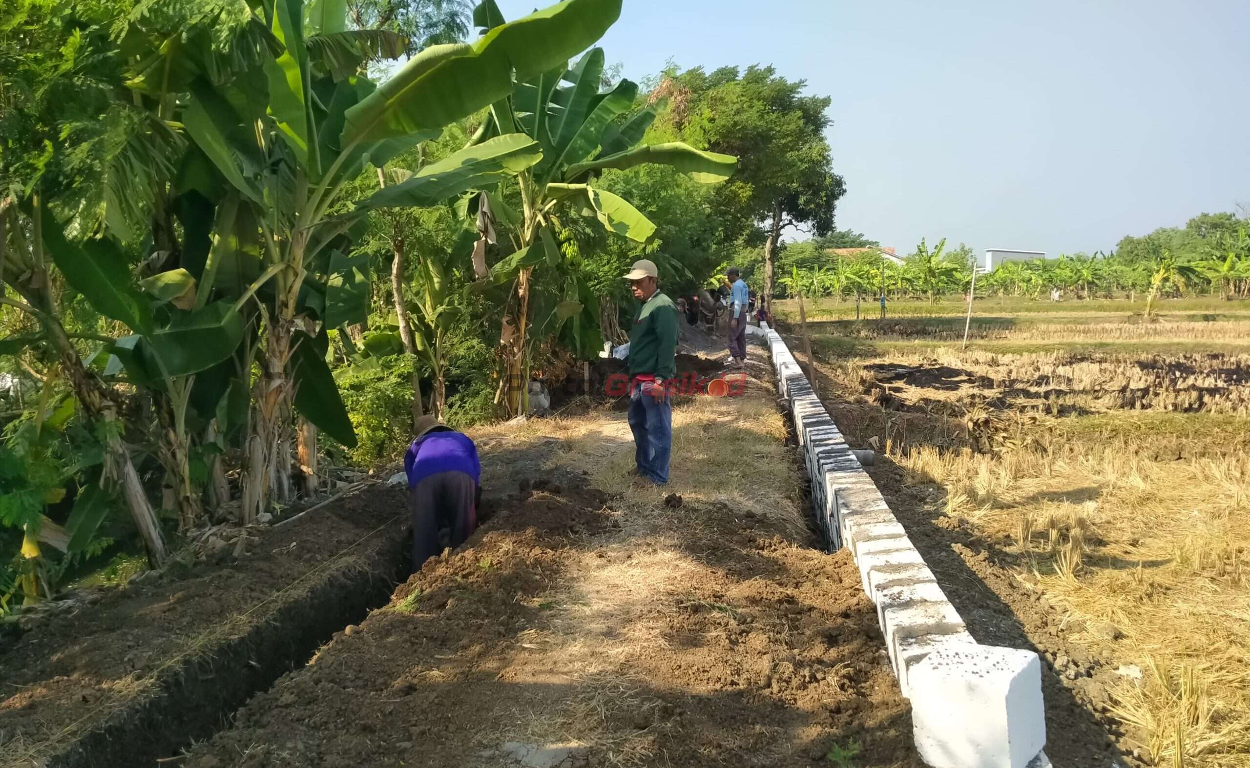 Pembangunan JUT Desa Sekargadung, Kecamatan Dukun Gresik