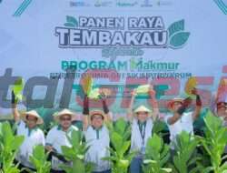 Bersama PT Djarum, Petrokimia Gresik Sukses Tingkatkan Produktivitas Petani Tembakau Dalam Program Makmur di Grobogan