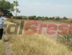 Memasuki Musim Kemarau, Pemdes Ganggang Berkolaborasi Dengan Anggota DPRD Gresik Cari Solusi Atasi Kekeringan