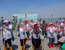 Penanaman 200.500 Mangrove, Upaya Signifikan Menuju Gresik Hijau dan Berkelanjutan