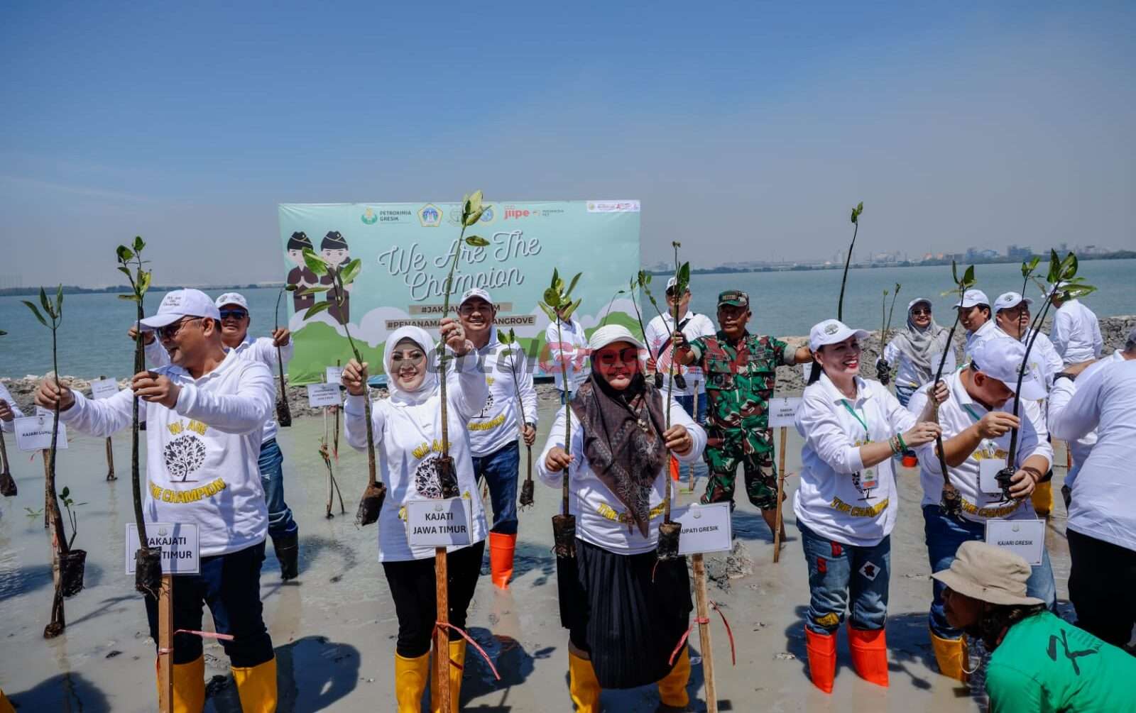 Penanaman 200.500 mangrove di kawasan pesisir Kabupaten Gresik