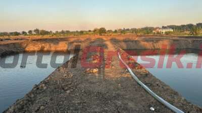 Pemdes Sidoraharjo Perluas Tambak Budidaya Ikan Sebagai Upaya Wujudkan Ketahanan Pangan