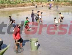 Bagikan Ikan Hasil Budidaya, Terobosan Kades Sidoraharjo dalam Program Ketahanan Pangan