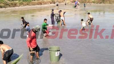 Bagikan Ikan Hasil Budidaya, Terobosan Kades Sidoraharjo dalam Program Ketahanan Pangan