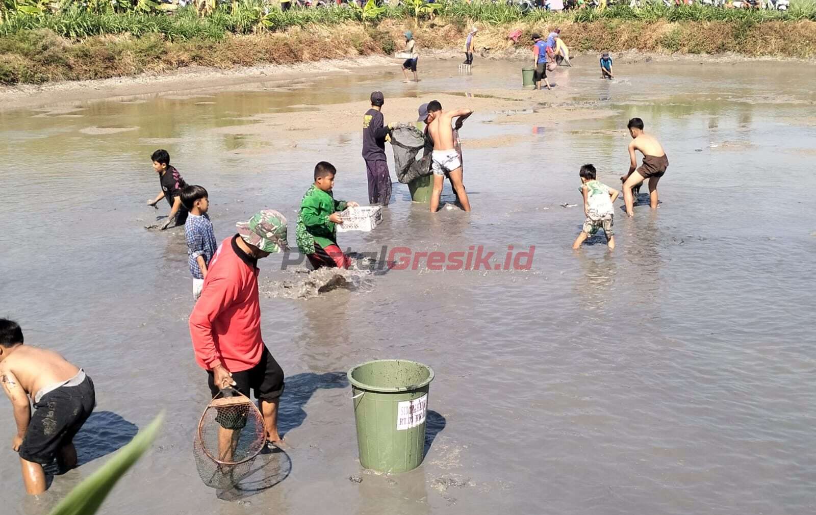Pemdes Sidoraharjo Panen Ikan dan Bagikan Gratis ke 1.500 KK