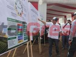 Program Makmur Petrokimia Gresik Berhasil Tingkatkan Pendapatan Lebih Dari 166 Ribu Petani di Seluruh Indonesia