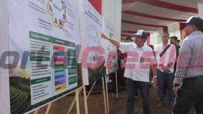 Petrokimia Gresik Menggelar Panen dan Tanam Tebu Program Makmur