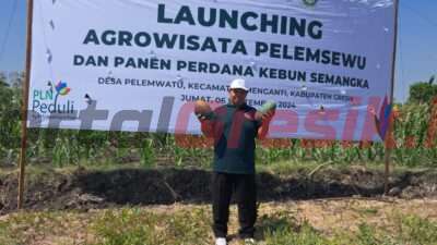 Launching Agrowisata Pelemsewu, Cara Pemerintah Desa Pelemwatu Menganti Geliatkan Ekonomi Masyarakat Petani
