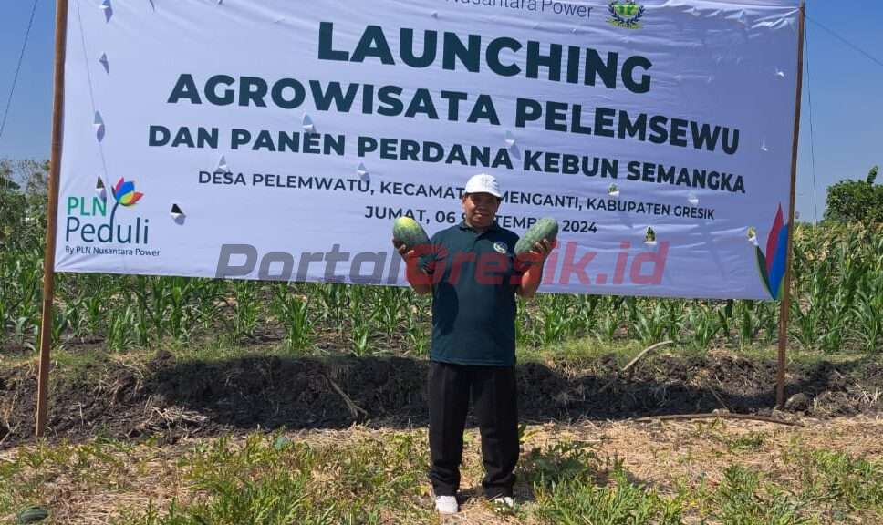 Kades Pelemwatu, Sukayin menunjukan buah semangka yang dipetik di areal Agrowisata Pelemsewu