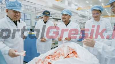 Bupati Gresik Fandi Akhmad Yani didampingi Kepala Kantor Bea dan Cukai Wahjudi Adrijianto dan Kepala Administrator KEK Ibnu Sina saat meninjau produksi PT Hailiang Nova Material di Kawasan Ekonomi Khusus (KEK) Java Integrated Industrial and Port Estate (JIIPE), Kamis (12/9/2024).