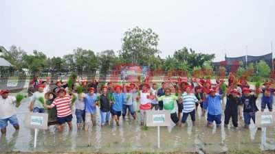 Petrokimia Gresik bersama Rekan Jurnalis Gresik menanam bersama di momen Hari Tani Nasional pada program Petrokimia Gresik Award (PMA) Caturwulan II 2024 di Gresik
