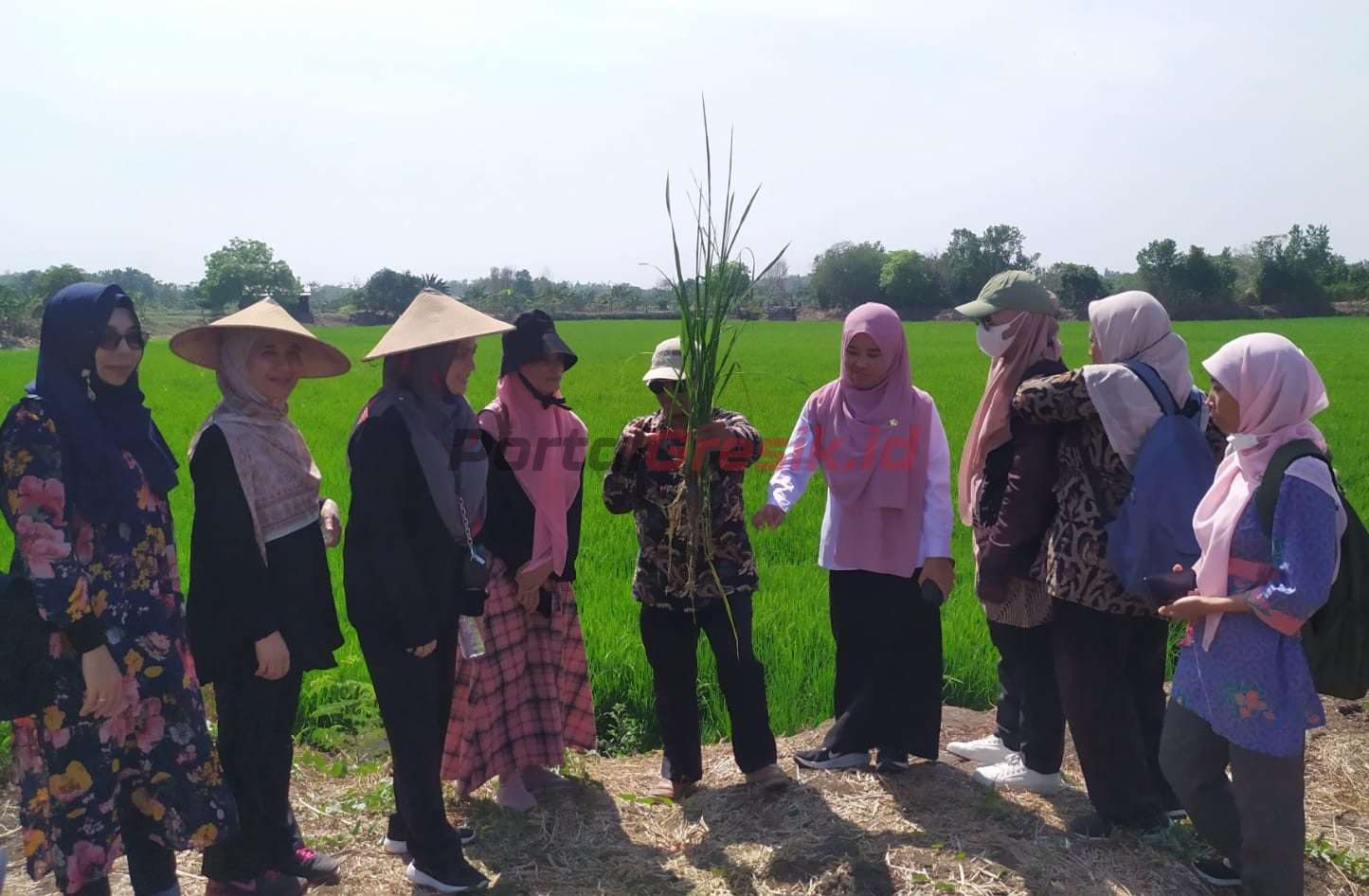 Tim peneliti tengah memberi pengarahan kepada petani Desa Betiting.