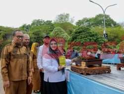 Buka Expo Pesona Bonsai Gresik, Plt Bupati Gresik Berharap Dapat Mendorong Masyarakat Untuk Melestarikan Alam dan Lingkungan