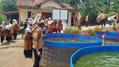 Maksimalkan Program Ketahanan Pangan, Pemdes Bunderan Sidayu Lakukan Pelatihan Budidaya Ikan Lele Dengan Metode Bioflok