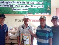 Wujudkan Ketahanan Pangan, Pemdes Boboh Bagikan Bibit Padi Pada 110 Petani