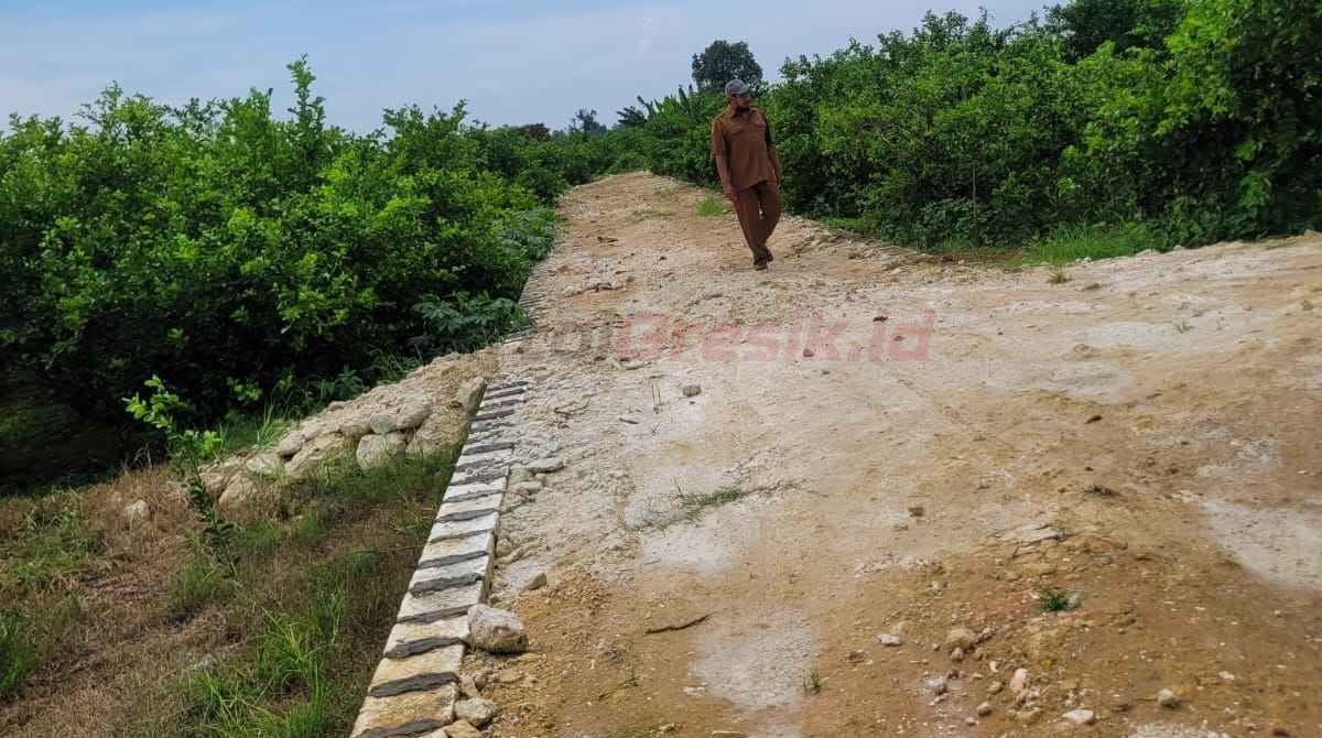 Kepala Desa Bolo Ihsanul Hakim memantau Jalan Usaha Tani (JUT).
