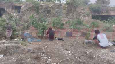 penyuluh pertanian Kecamatan Panceng untuk memberikan pelatihan mengenai cara merawat tanaman," ujar Mas'ud, Sabtu (21/12/2024).