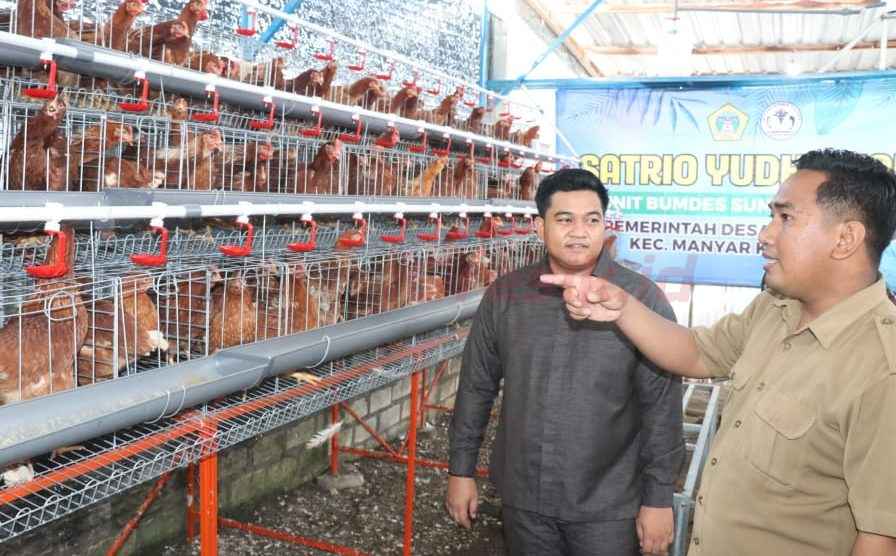 Ketua DPRD Gresik, Muhammad Syahrul Munir saat mengunjungi peternakan telur di milik Bumdes Sumberrejo, Senin (23/12/2024)