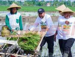 Program Jaksa Sahabat Tani, Pemkab Gresik Bersama Kejati Jatim Perkuat Sinergi untuk Pertanian Berkelanjutan