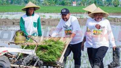 Program Jaksa Sahabat Tani, Pemkab Gresik Bersama Kejati Jatim Perkuat Sinergi untuk Pertanian Berkelanjutan