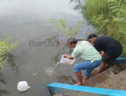 Dukung Nyata Kades Mojogede Bersama Kartar Setya Wibawa Tebar 71.500 Ikan Di Waduk